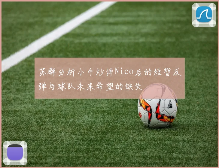 苏群分析小牛炒掉Nico后的短暂反弹与球队未来希望的缺失