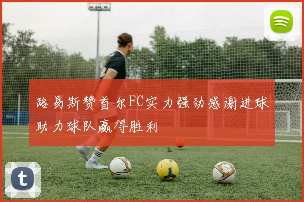 路易斯赞首尔FC实力强劲感谢进球助力球队赢得胜利