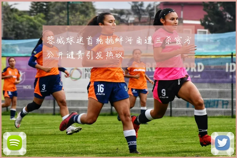 蓉城球迷首轮挑衅河南遭三杀官方公开谴责引发热议