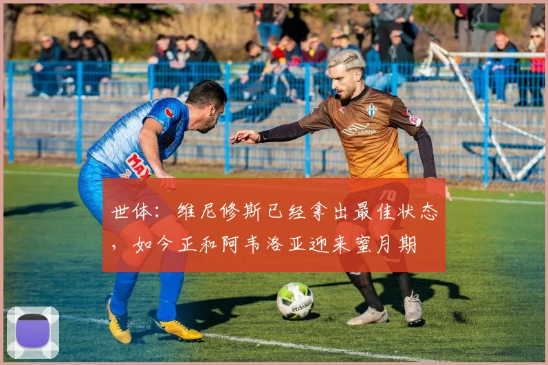 世体：维尼修斯已经拿出最佳状态，如今正和阿韦洛亚迎来蜜月期